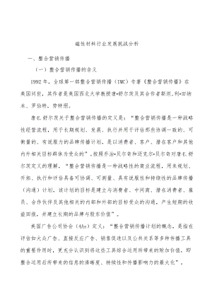 磁性材料行业发展挑战分析.docx