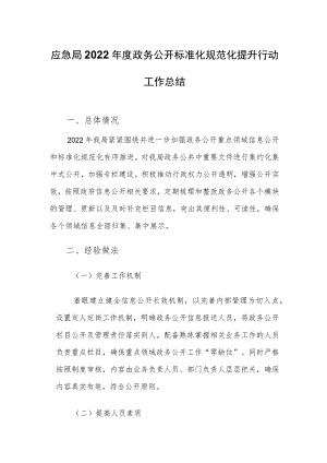 应急局2022年度政务公开标准化规范化提升行动工作总结.docx
