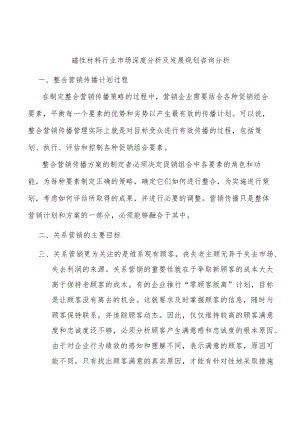 磁性材料行业市场深度分析及发展规划咨询分析.docx
