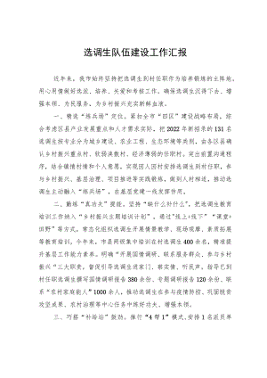 选调生队伍建设工作汇报.docx