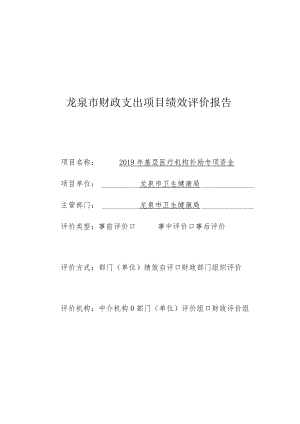龙泉市财政支出项目绩效评价报告.docx