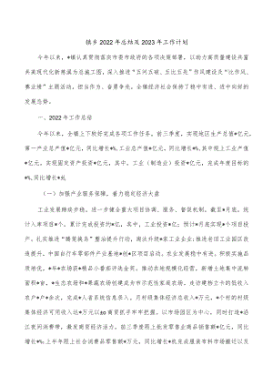 镇乡2022年总结及2023年工作计划.docx