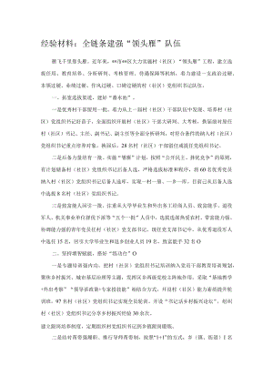 经验材料：全链条建强“领头雁”队伍.docx