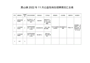 黑山镇2022年11月公益性岗位招聘情况汇总表.docx