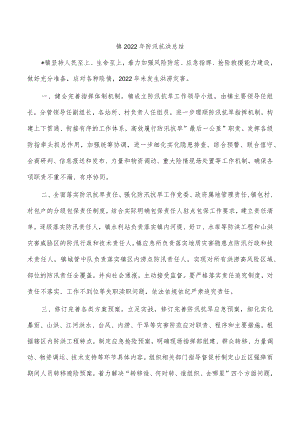 镇2022年防汛抗洪总结.docx