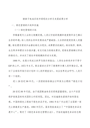 锂离子电池系统市场现状分析及发展前景分析.docx