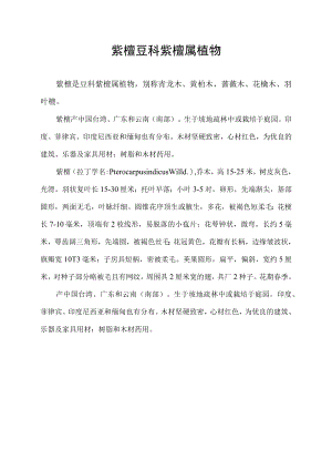 紫檀 豆科紫檀属植物.docx