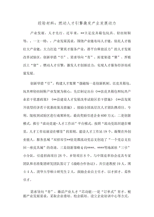 经验材料：燃动人才引擎 激发产业发展动力.docx