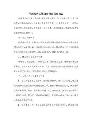 阳光村务工程自查报告自查报告.docx