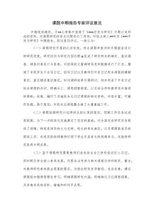 课题中期报告专家评议意见.docx