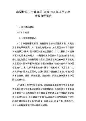 麻栗坡县卫生健康局本级2021年项目支出绩效自评报告.docx