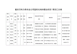 重庆贝科力奇农业公司宜机化地块整治项目情况汇总表.docx