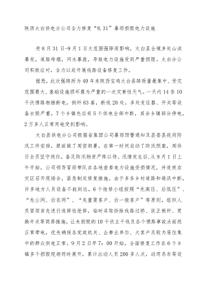 陕西太白供电分公司全力修复“31”暴雨损毁电力设施.docx