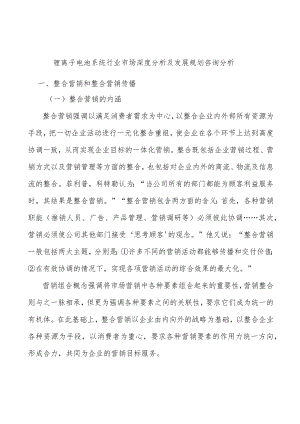 锂离子电池系统行业市场深度分析及发展规划咨询分析.docx