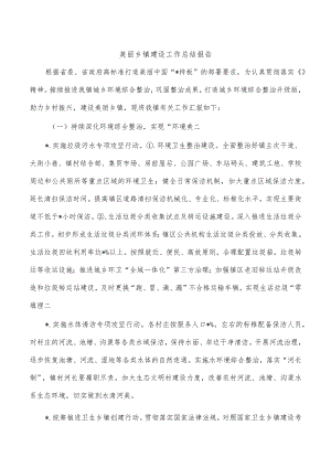美丽乡镇建设工作总结报告.docx