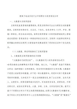 锂离子电池系统行业市场需求与投资规划分析.docx