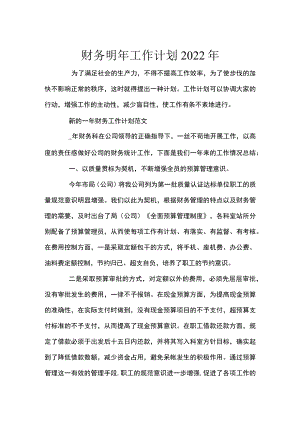 财务明年工作计划2022年.docx