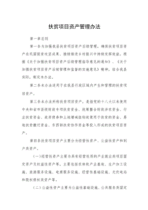扶贫项目资产管理办法.docx