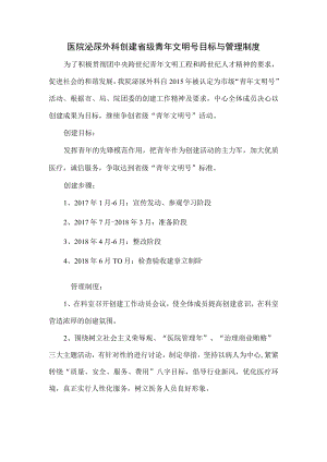 医院泌尿外科创建省级青年文明号目标与管理制度.docx