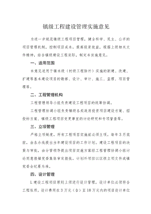 镇级工程建设管理实施意见.docx