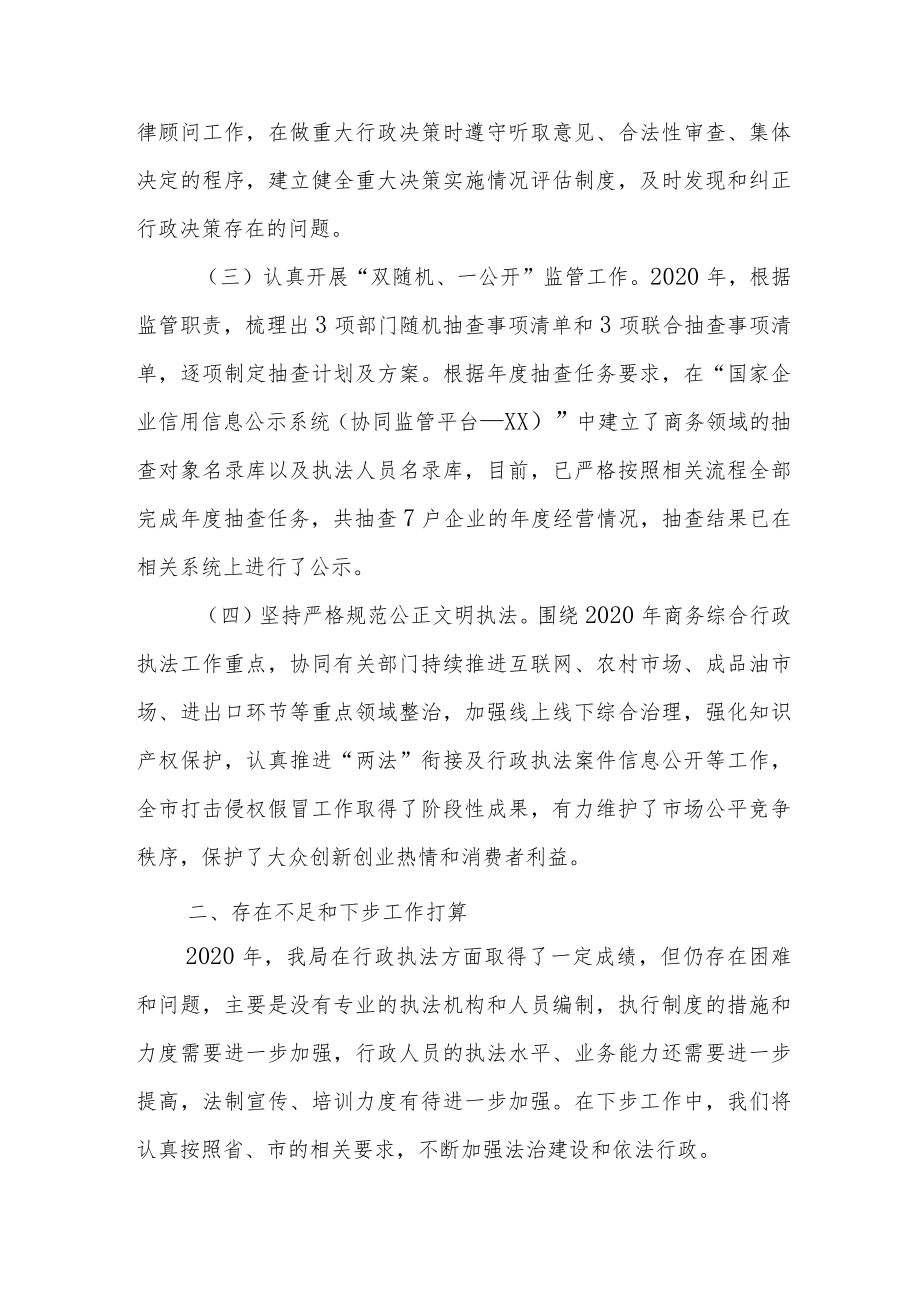 2020年XX市商务综合行政执法工作总结.docx_第2页