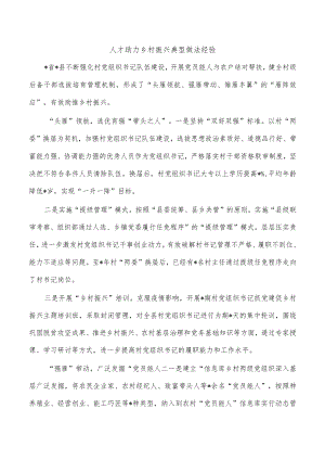 人才助力乡村振兴典型做法经验.docx