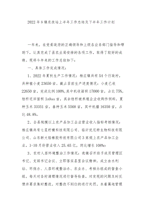 2022年乡镇农技站上半年工作总结及下半年工作计划.docx