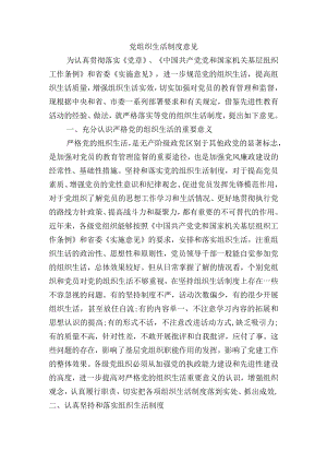 党组织生活制度意见.docx