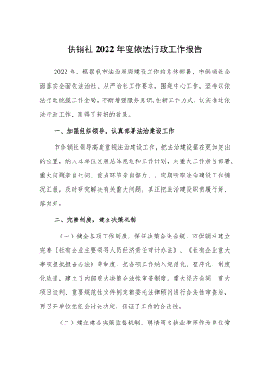 供销社2022年度依法行政工作报告.docx