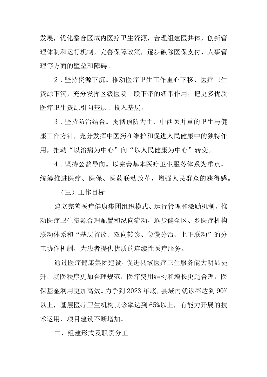 关于2022年医疗健康集团建设的实施方案.docx_第2页