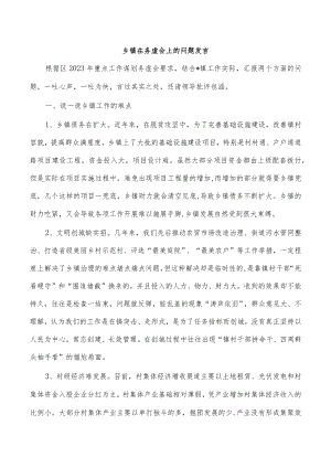 乡镇在务虚会上的问题发言.docx
