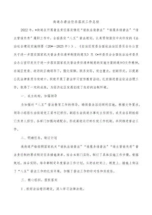 街道办普法任务落实工作总结.docx