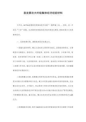 县发展壮大村级集体经济经验材料.docx