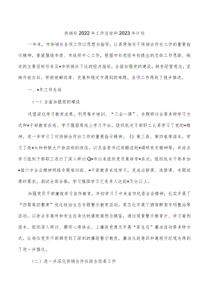 供销社2022年工作总结和2023年计划.docx