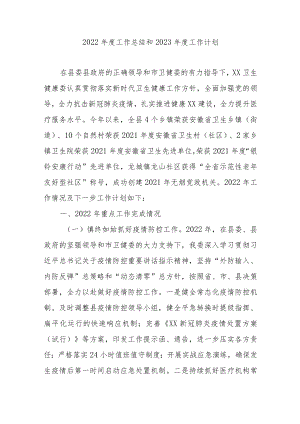 2022年度工作总结和2023年度工作计划.docx