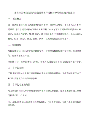 龙南市园林绿化养护经费及城区行道树养护经费绩效评价报告.docx