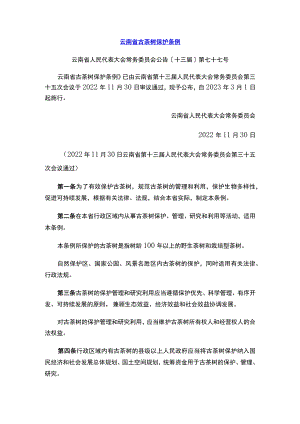 云南省古茶树保护条例.docx