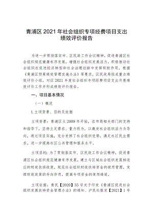 青浦区2021年社会组织专项经费项目支出绩效评价报告.docx