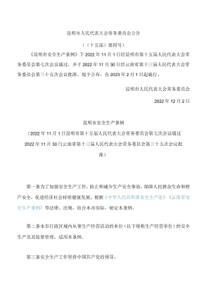 昆明市安全生产条例.docx