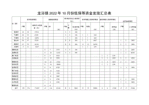 龙浔镇2022年10月份低保等资金发放汇总表.docx