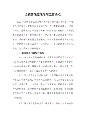 全镇普法依法治理工作要点.docx