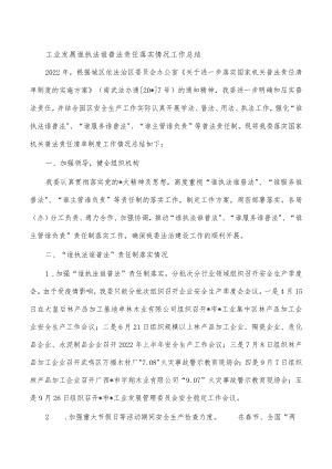 工业发展谁执法谁普法责任落实情况工作总结.docx