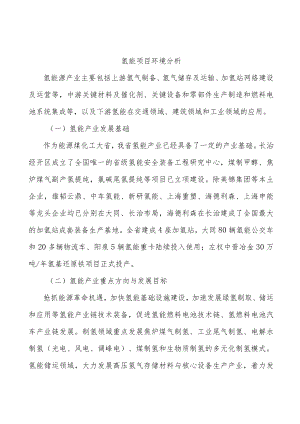氢能项目环境分析.docx