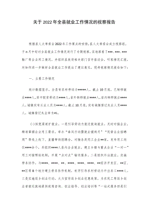 关于2022年全县就业工作情况的视察报告.docx