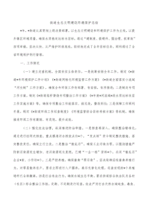 街道生态文明建设环境保护总结.docx
