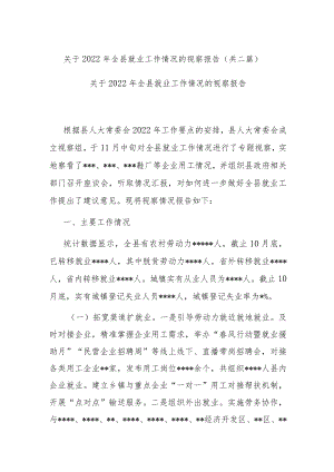 关于2022年全县就业工作情况的视察报告(共二篇).docx