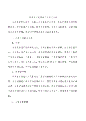 软件及信息服务产业概况分析.docx