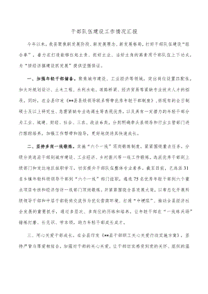 干部队伍建设工作情况汇报.docx