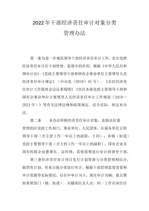 2022年干部经济责任审计对象分类管理办法.docx