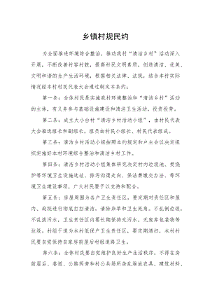 乡镇村规民约.docx